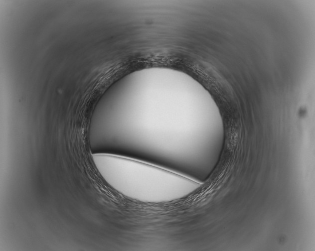 X0000097911010200803141024