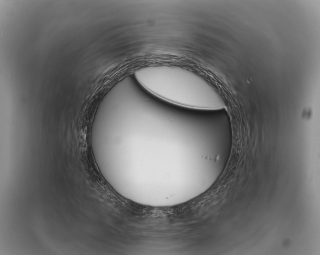 X0000097911013200803141024