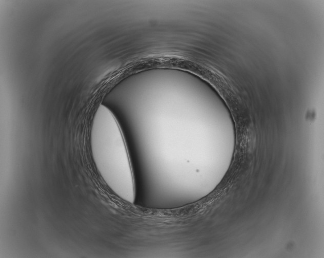 X0000097911014200803141024