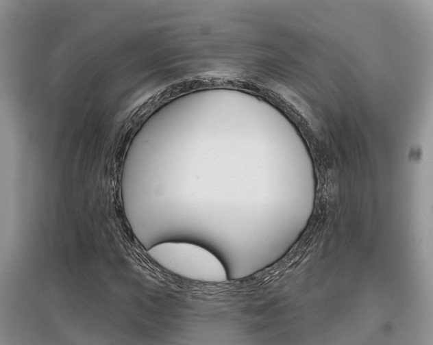X0000097911015200803141024