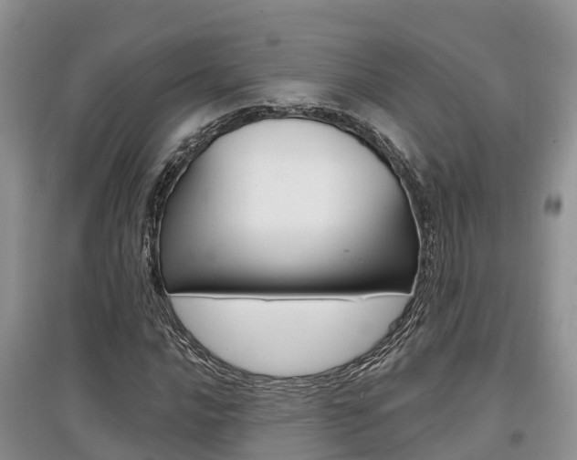 X0000097911016200803141024