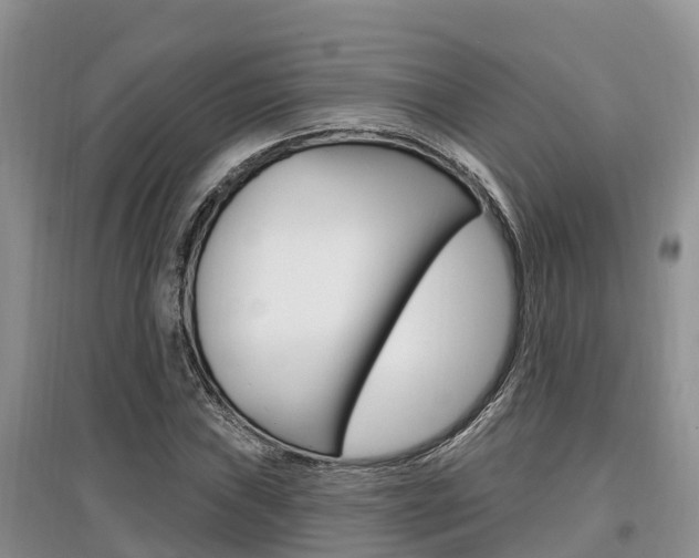X0000097911019200803141024