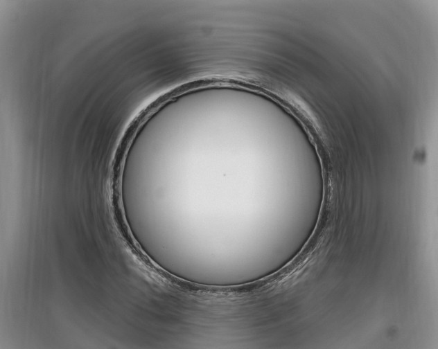X0000097911020200803141024