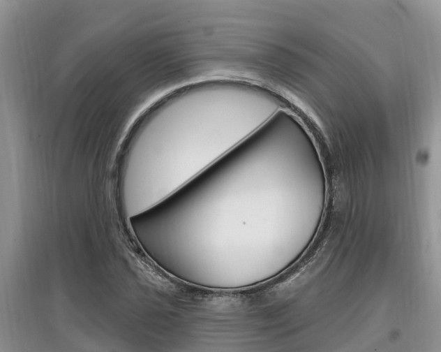 X0000097911021200803141024