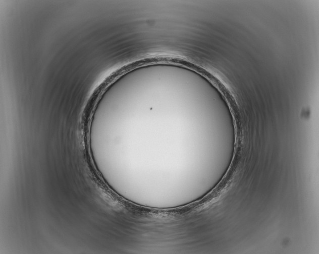 X0000097911022200803141024