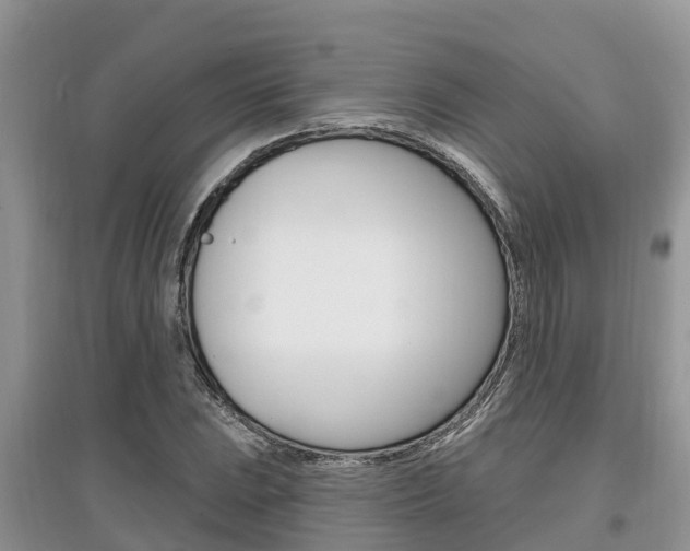 X0000097911023200803141024