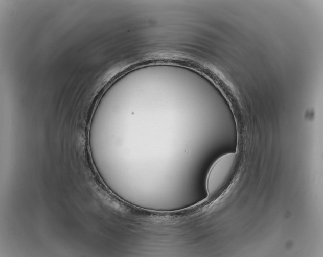 X0000097911025200803141024