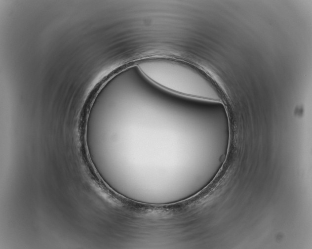 X0000097911026200803141024