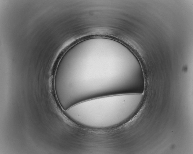X0000097911029200803141025