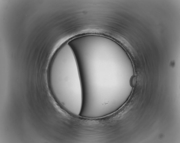 X0000097911030200803141025