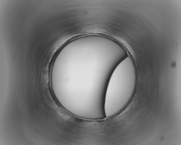 X0000097911031200803141025