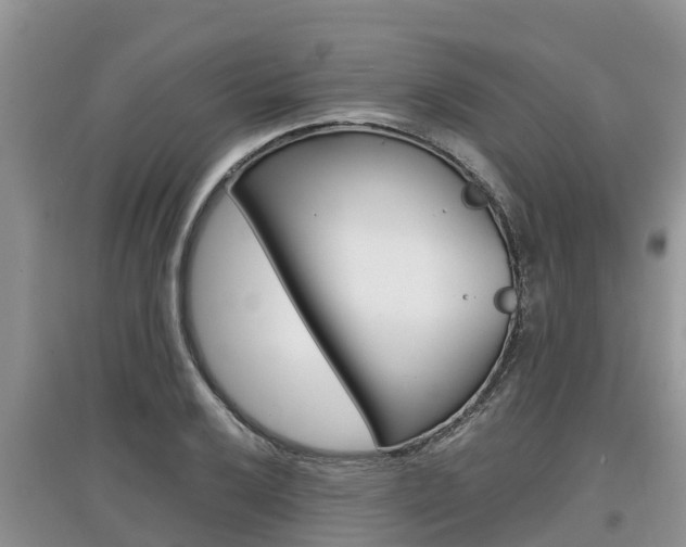 X0000097911032200803141025