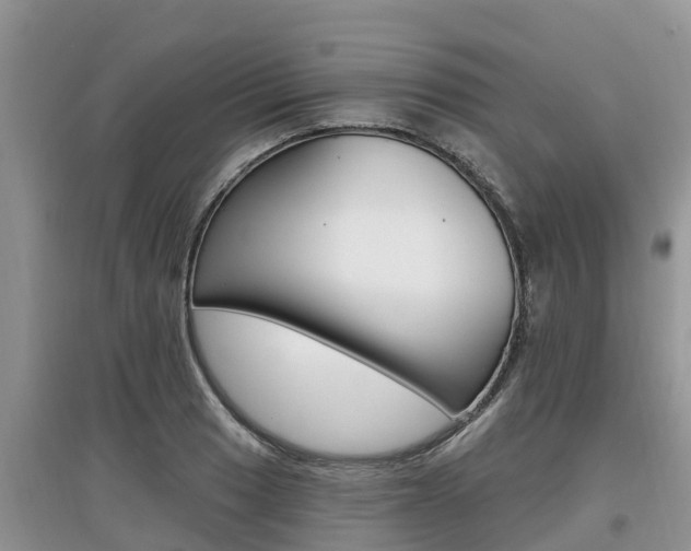 X0000097911033200803141025