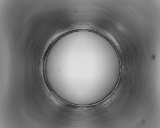 X0000097911035200803141025