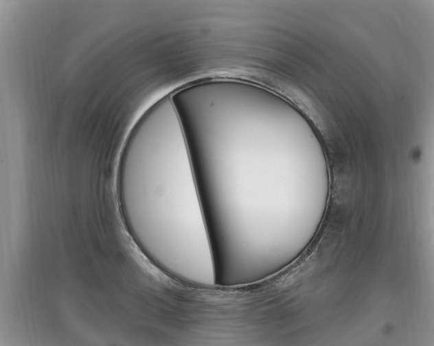 X0000097911036200803141025