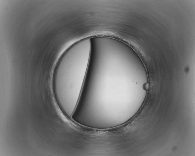 X0000097911038200803141025