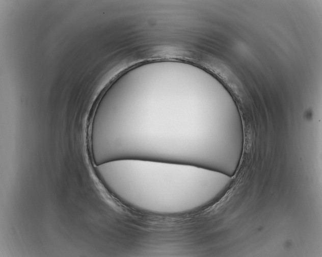 X0000097911039200803141025