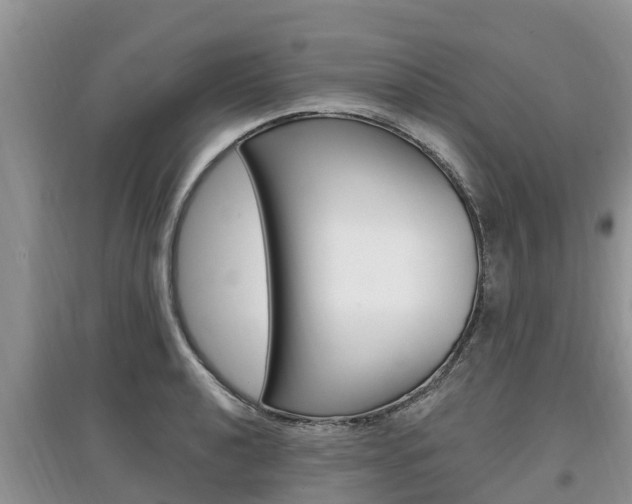 X0000097911040200803141025