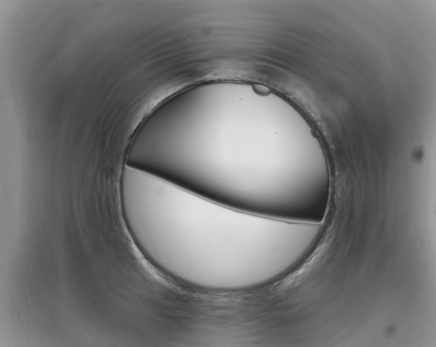 X0000097911041200803141025