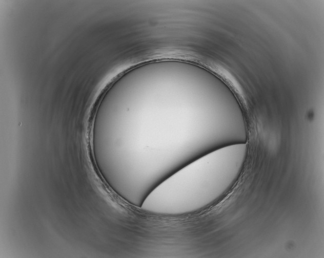 X0000097911043200803141025