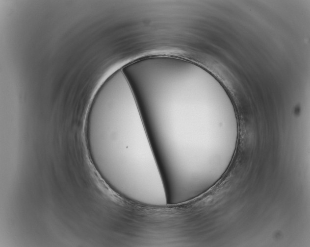 X0000097911044200803141025
