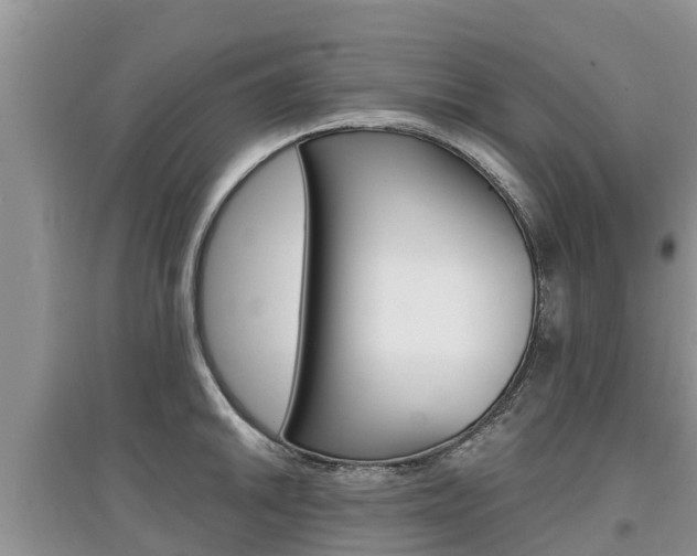 X0000097911046200803141025