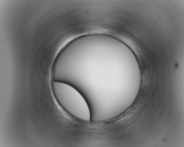 X0000097911047200803141025