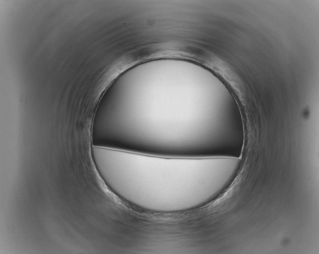 X0000097911049200803141025