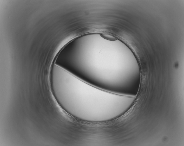 X0000097911050200803141025