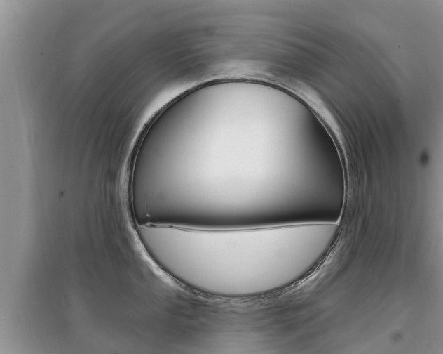 X0000097911053200803141025