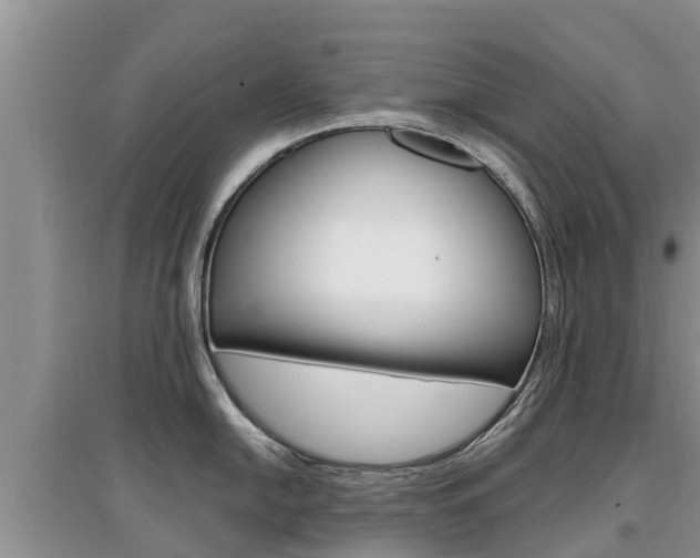 X0000097911054200803141025