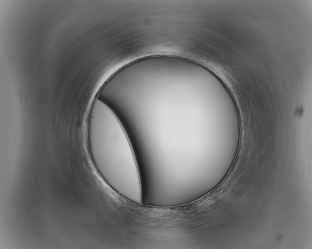 X0000097911056200803141025