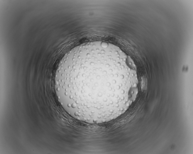 X0000097911059200803141024