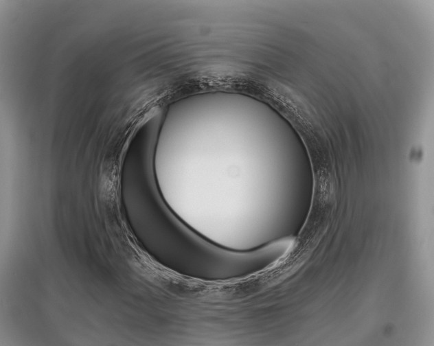 X0000097911060200803141024