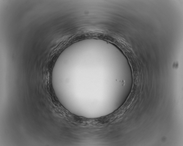 X0000097911061200803141024