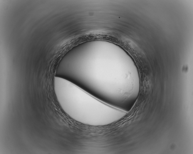 X0000097911062200803141024