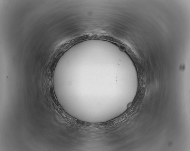 X0000097911063200803141024