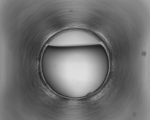 X0000097911065200803141024
