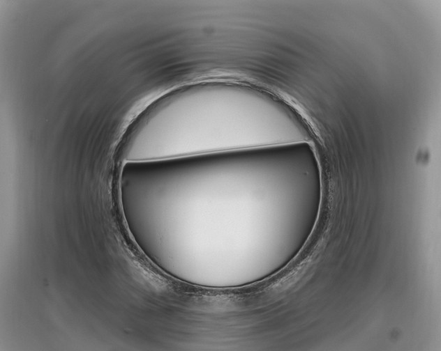 X0000097911066200803141024