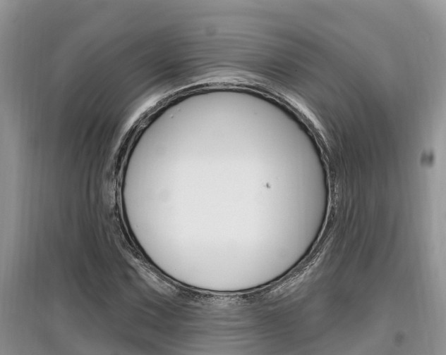 X0000097911067200803141024