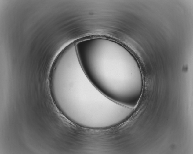 X0000097911068200803141024
