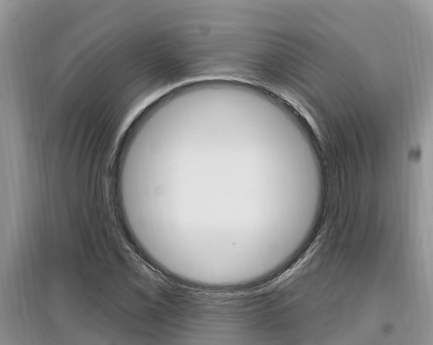 X0000097911069200803141024