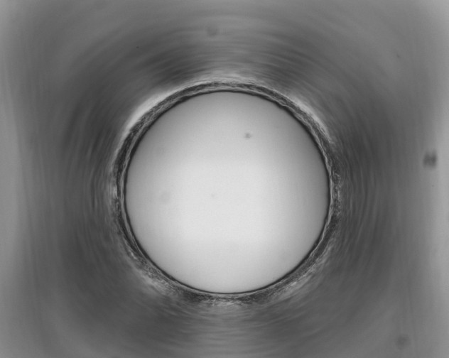X0000097911070200803141024