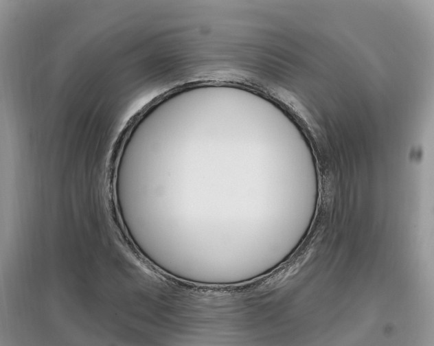 X0000097911071200803141024