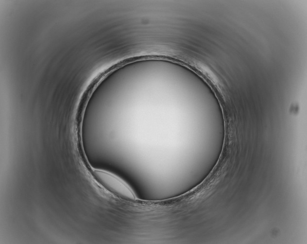 X0000097911072200803141024