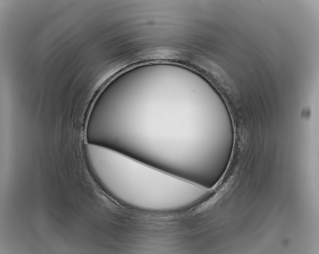 X0000097911073200803141024
