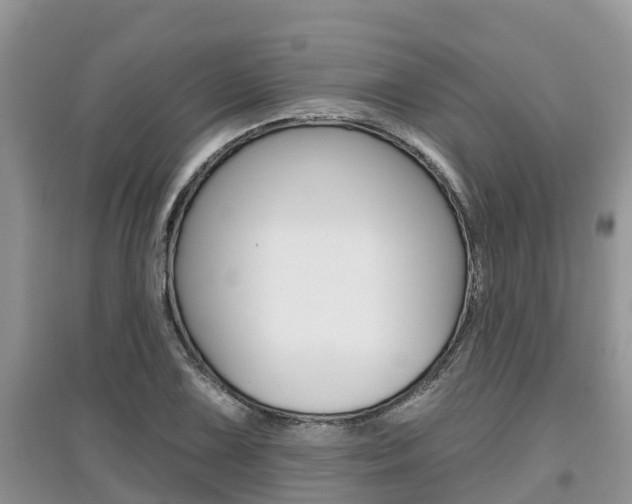 X0000097911075200803141024