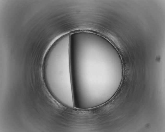X0000097911076200803141024