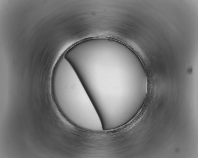 X0000097911079200803141024