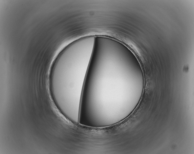 X0000097911080200803141024
